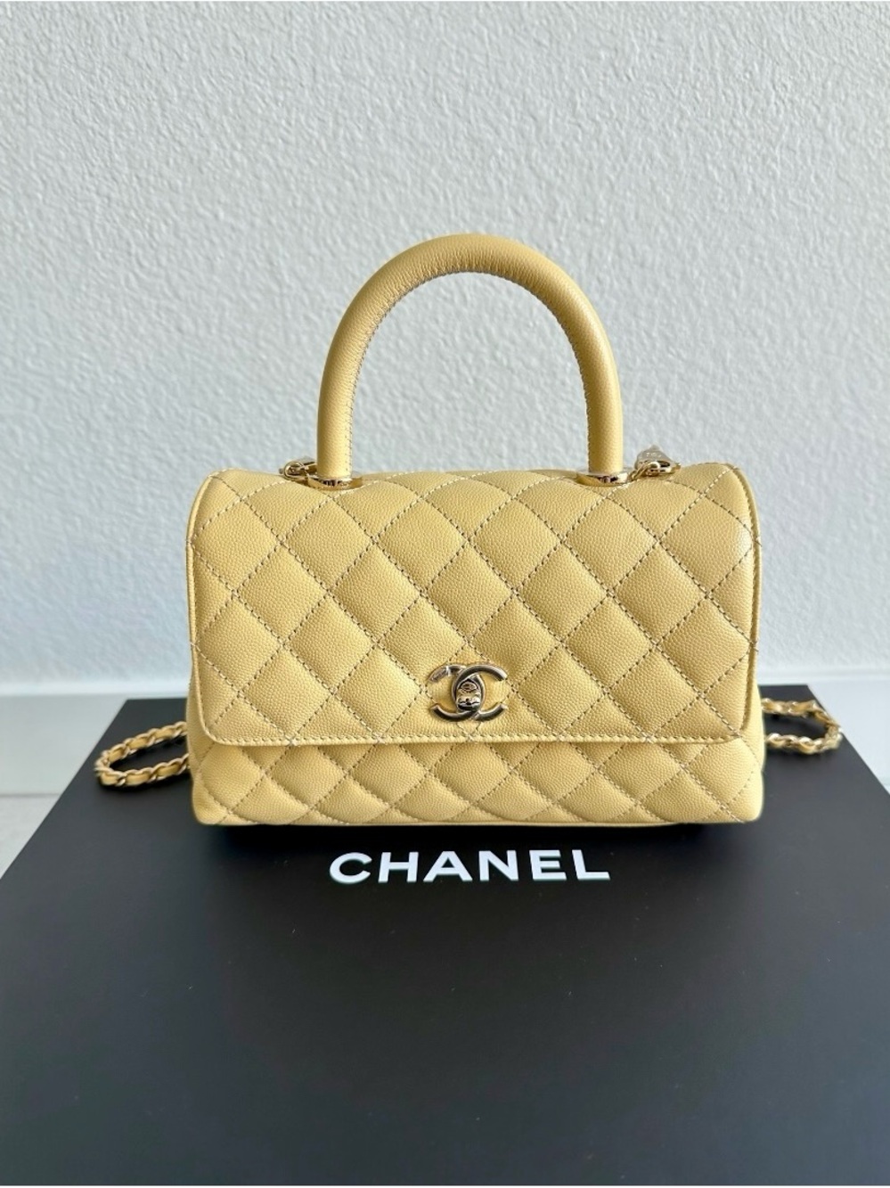 CHANEL Coco Handle Flap Bag | Brand New Never Used | Full Set